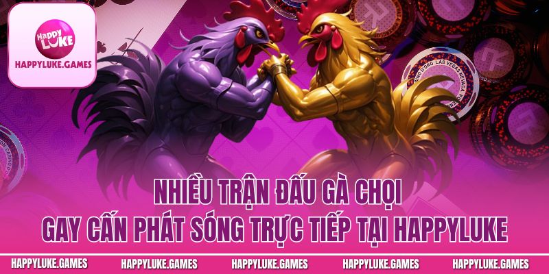 Đá gà Happyluke có gì hấp dẫn